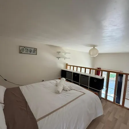 Le Cocon Du Centre - Duplex, Proche Du Marais Poitevin